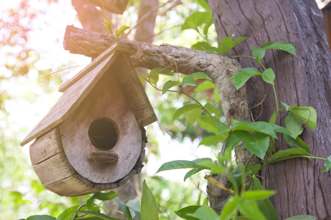 Gardening Tasks For Rainy Autumn Days