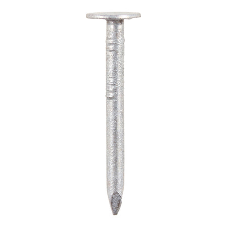 30 x 2.65 Clout Nails 2.5kg