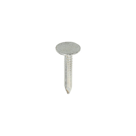 20 x 3 Clout Galvanised Nail Extra Large Head 1kg