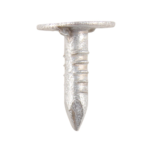 20 x 3 Clout Galvanised Nail Extra Large Head 2.5kg