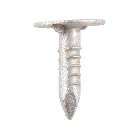 20 x 3 Clout Galvanised Nail Extra Large Head 2.5kg