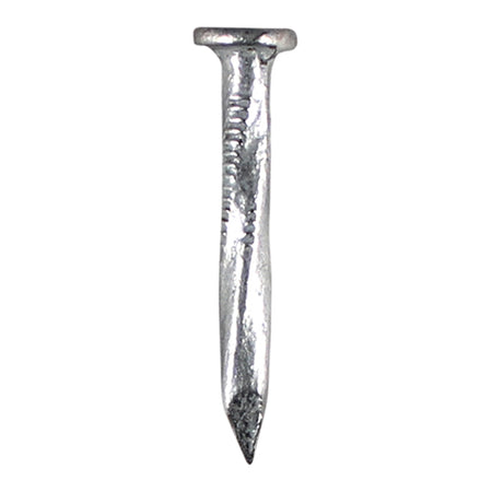 Square Twisted Nail 30mm 2.5kg