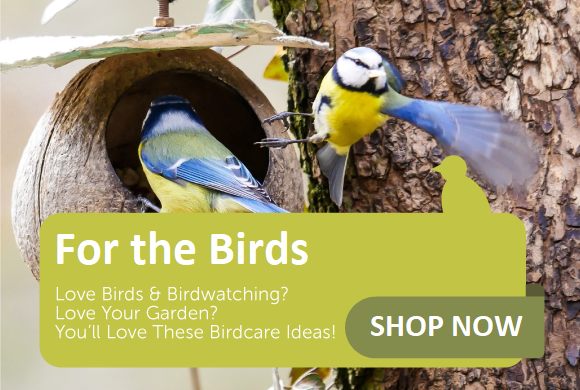 Wild Birds Nesting & Shop Now Button
