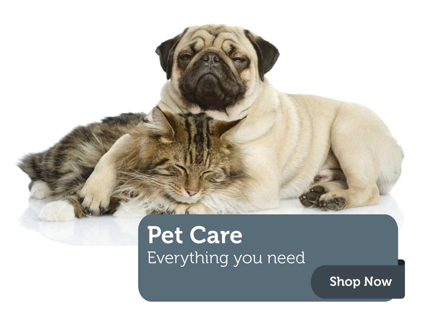 The Pet Care Collection at Fitzgeralds Homevalue