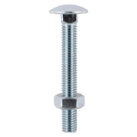 Timco M6 x 75  Carriage Bolt & Hex Nut 6s