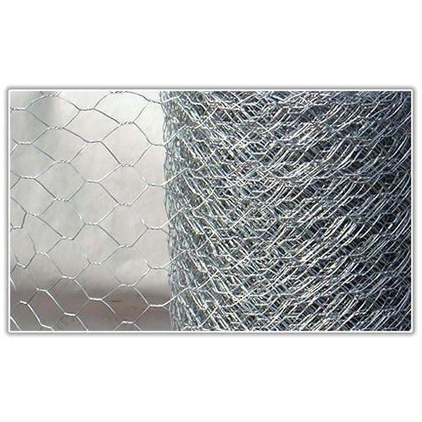 Galvanised Wire Netting 10 x 0.6m