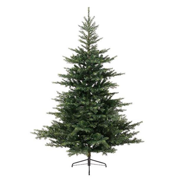 8' Grandis Fir Pine Christmas Tree