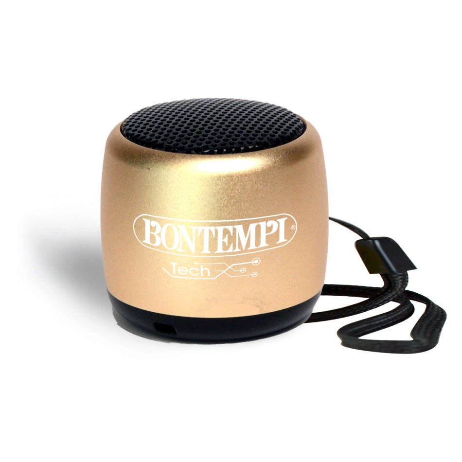 Bontempi Mini Wireless Speaker