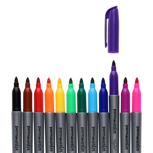ProScribe Pkt.12 Permanent Permamarkie Markers
