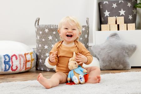 Peter Rabbit Activity Toy