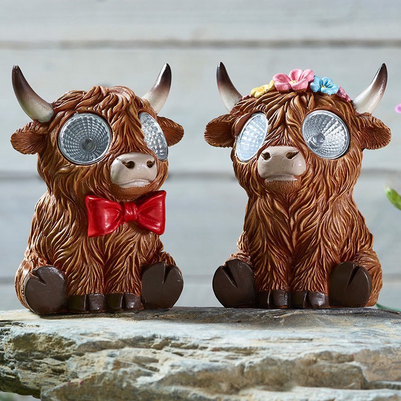 Bright Eyes Highlander