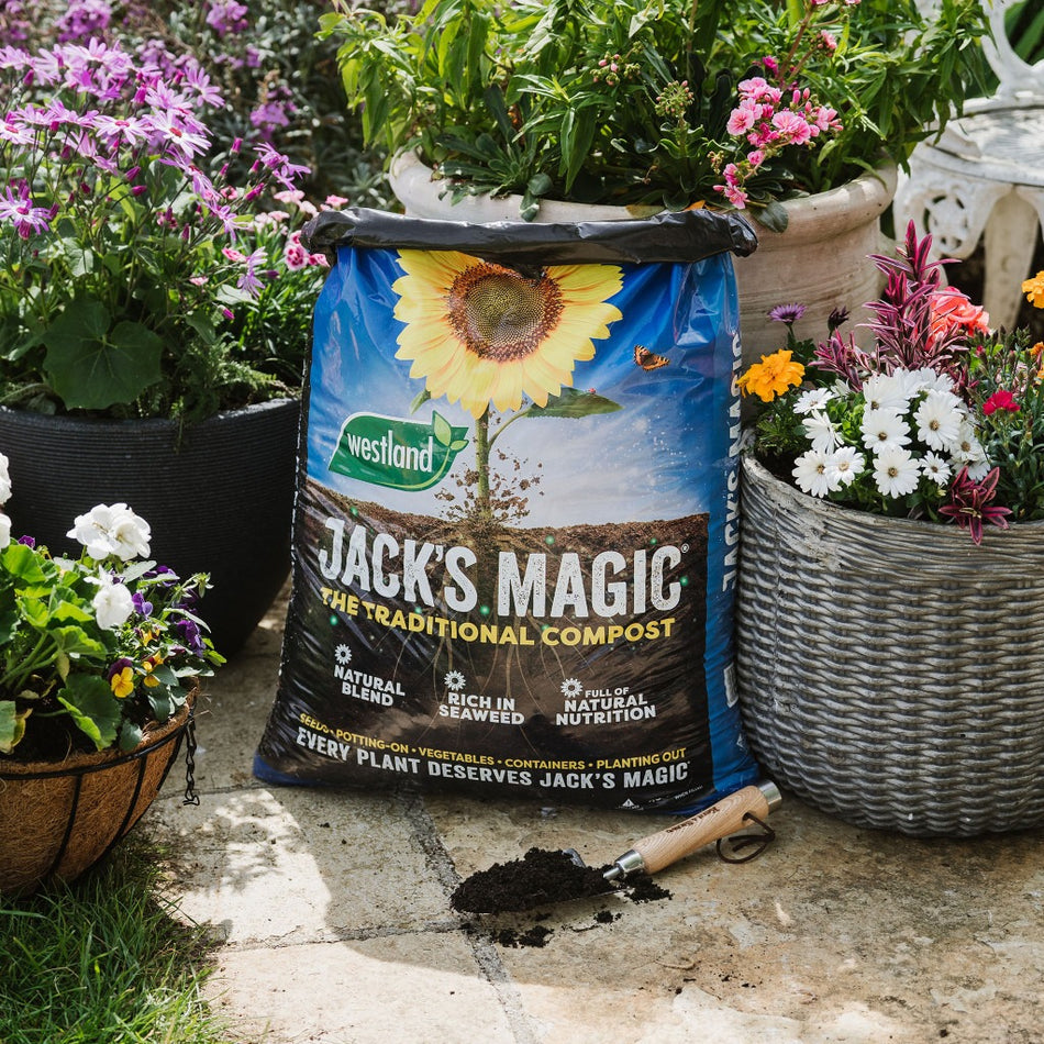 Westland Jacks Magic Traditional Compost 40L