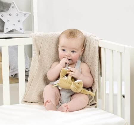 Guess How Much I Love You Little Nutbrown With Silicone Teether