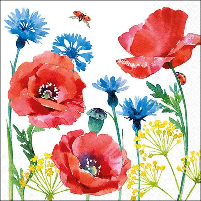 Cornflower & Poppy Napkin 20 Pack 33x33cm
