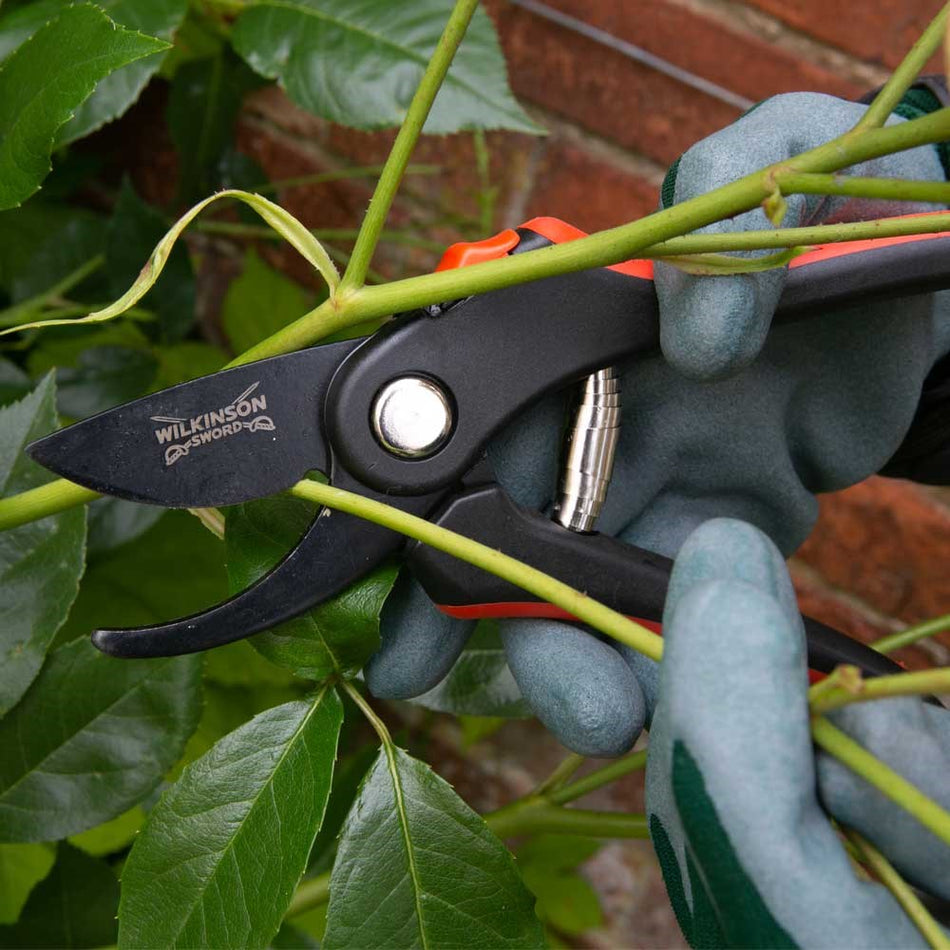 WS Bypass Pruner