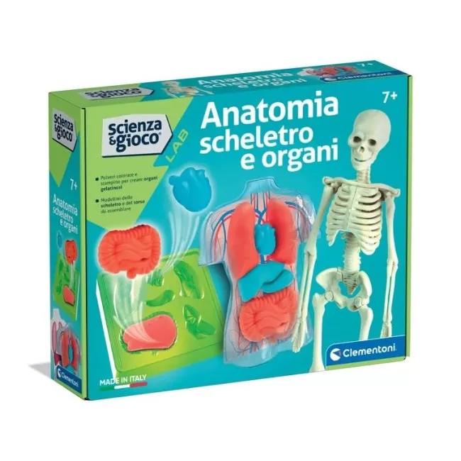 Squishy Anatomy Clementoni