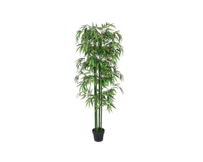 Bamboo Plants in Black Pot H180cm