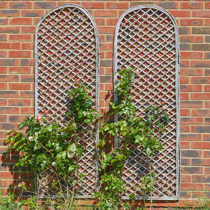 Heavy Duty Framed Willow Trellis Round
