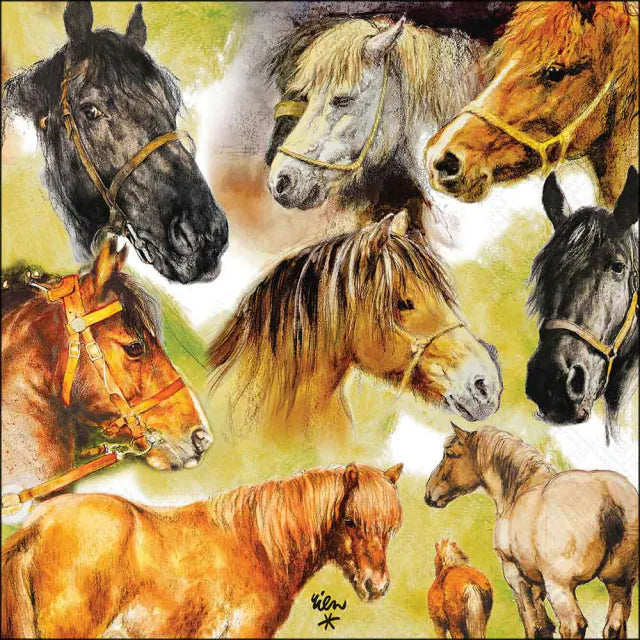 Collage of Horses Napkin 20 Pack 33x33cm