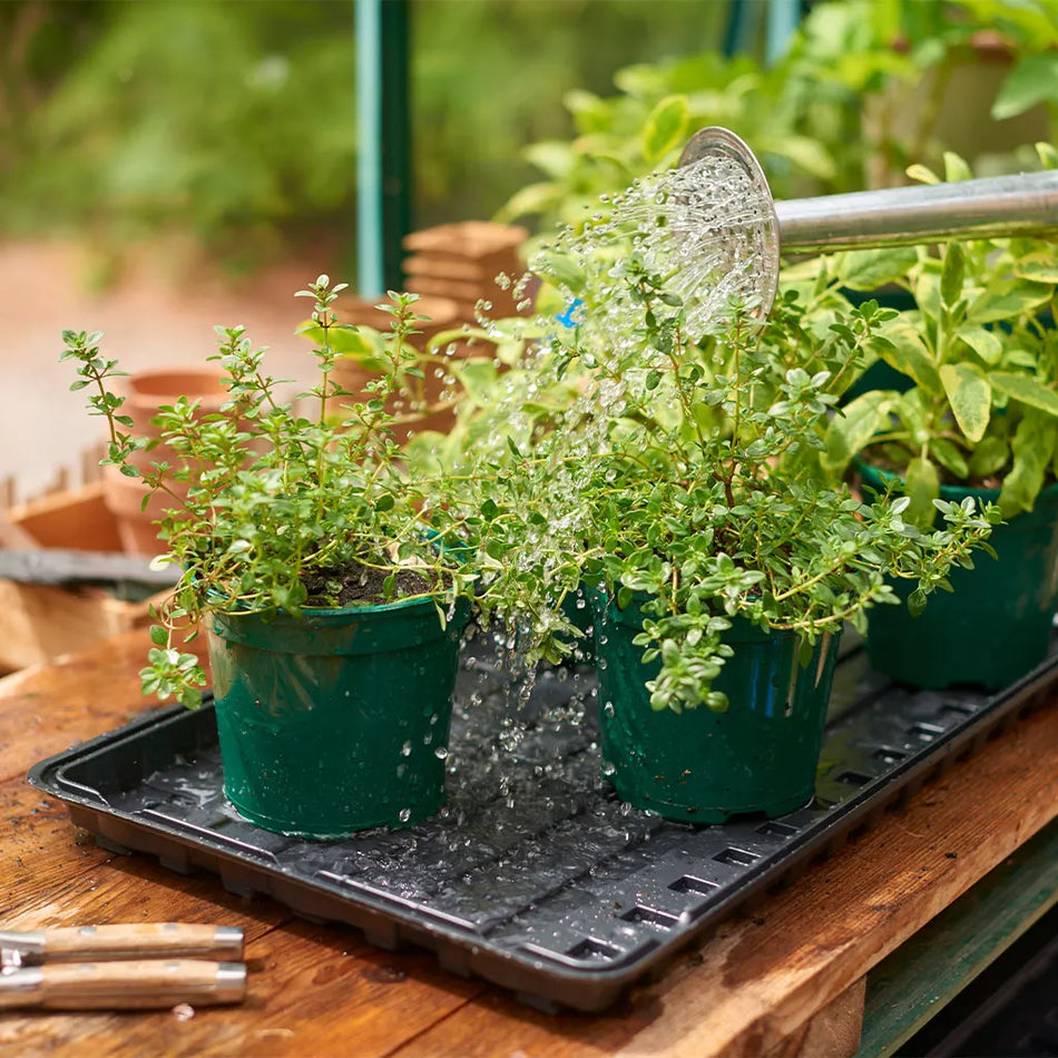 Watering Tray 2 Pack