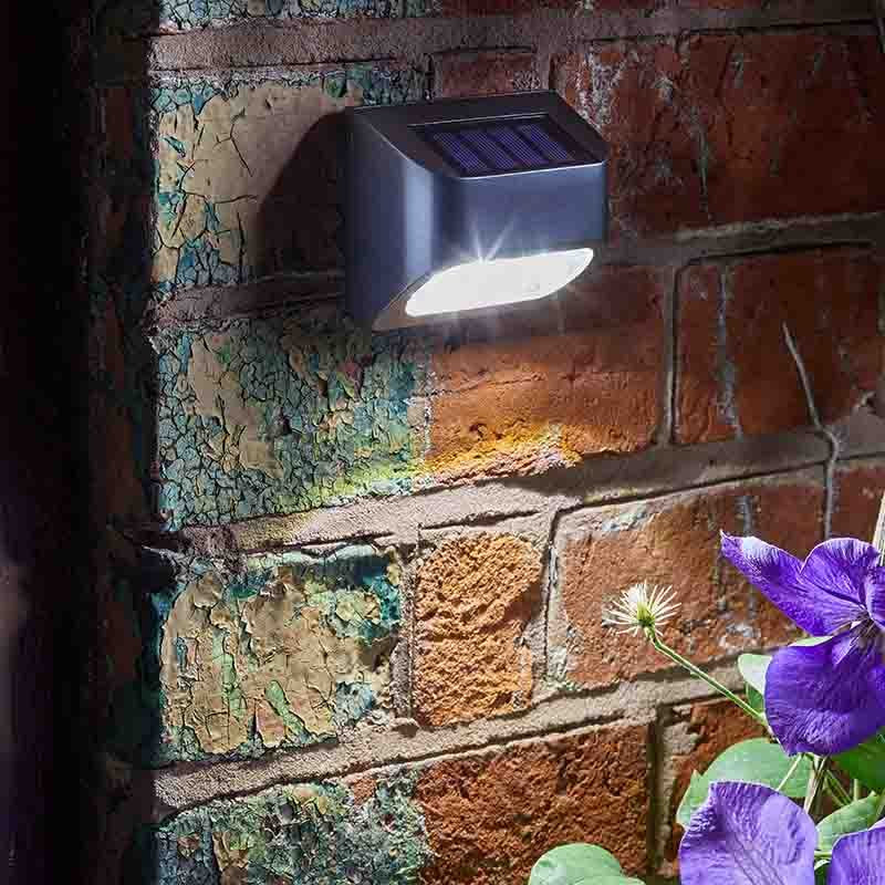 Premier Fence, Wall and Post Light 10L