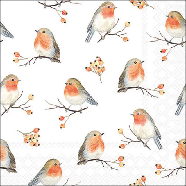 Robin Family Napkin 20 Pack 33x33cm