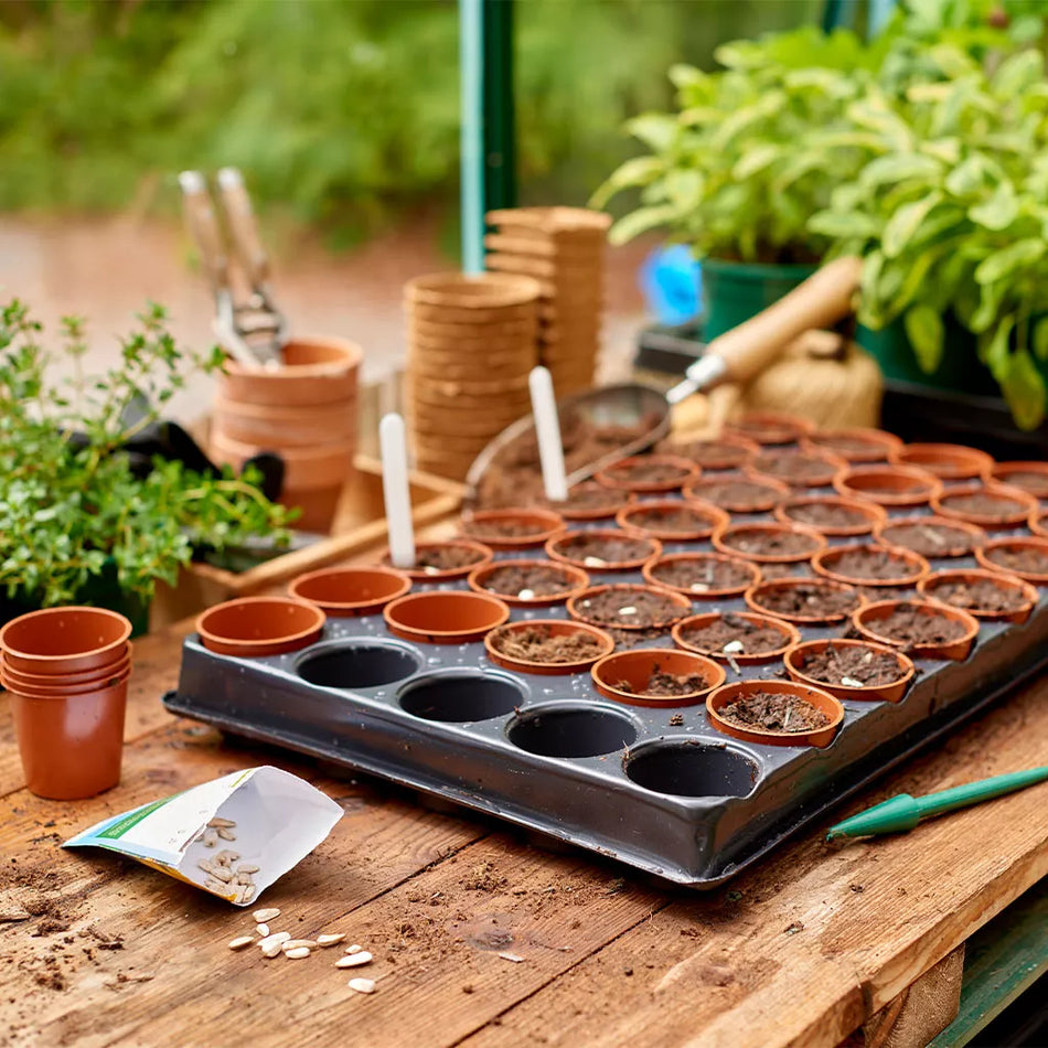 Seed & Cutting Tray 40 Pot