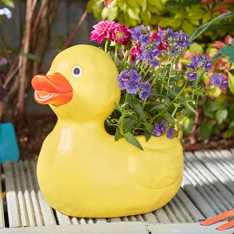 Duck Planter