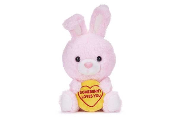 Love Hearts Somebunny Loves You