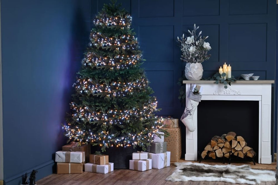 1000 Cluster Lights White & Warm White