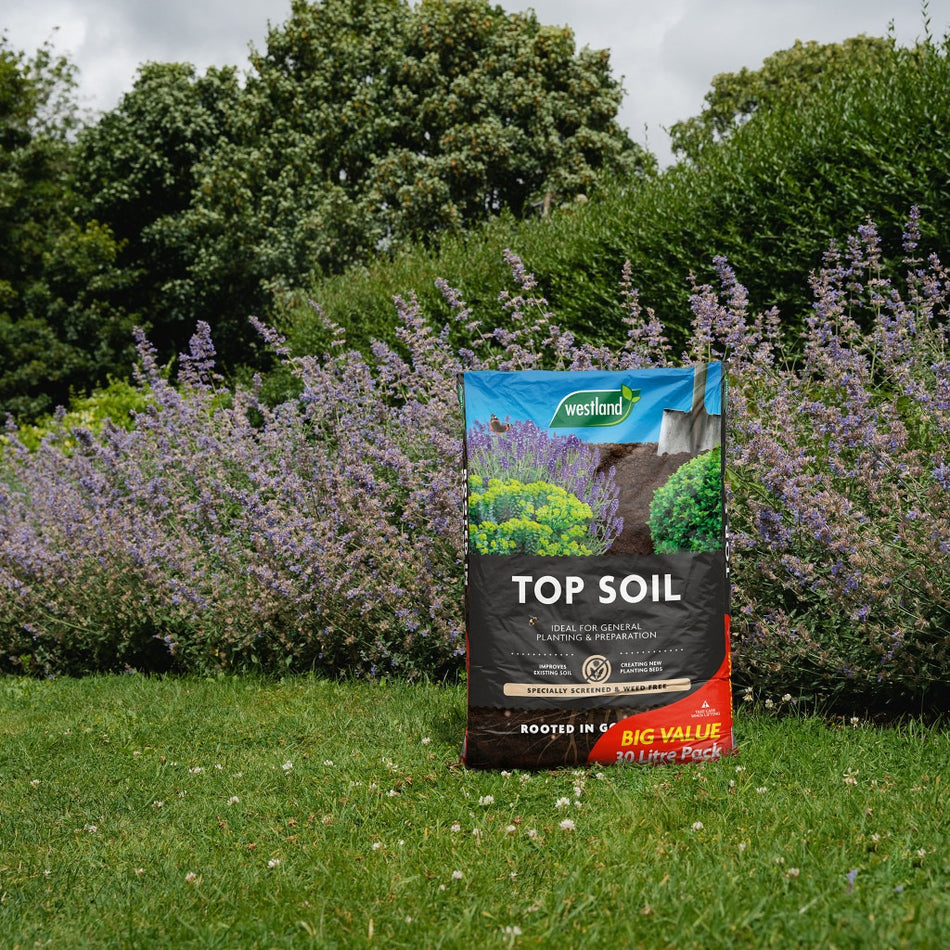 Westland Top Soil 30L Big Value Bag