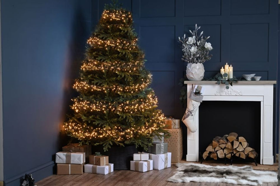 2000 Cluster Warm White Lights