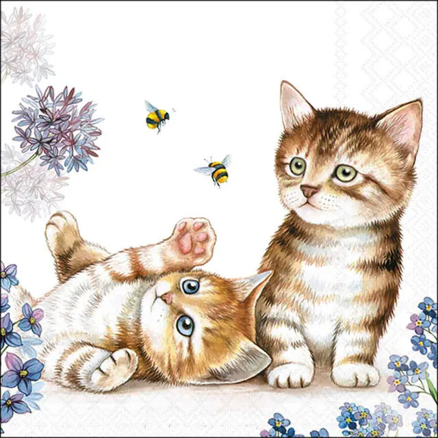 Cats & Bees Napkin 20 Pack 33x33cm