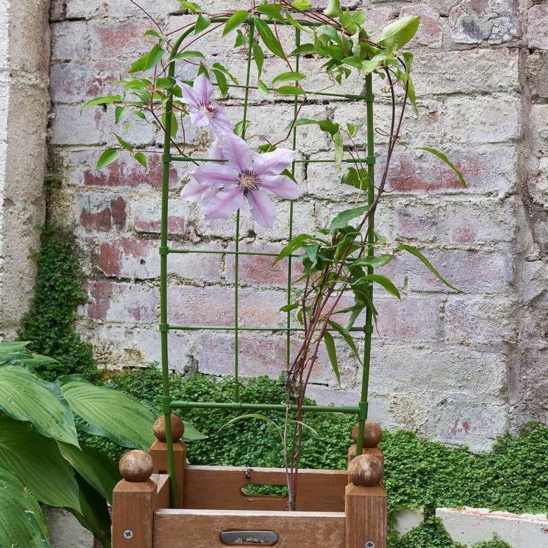 Planter Trellis