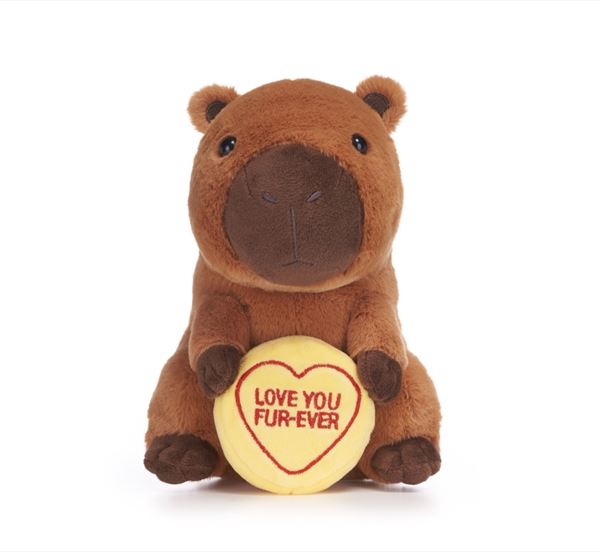 Cappybara Love Hearts Love You Fur-Ever
