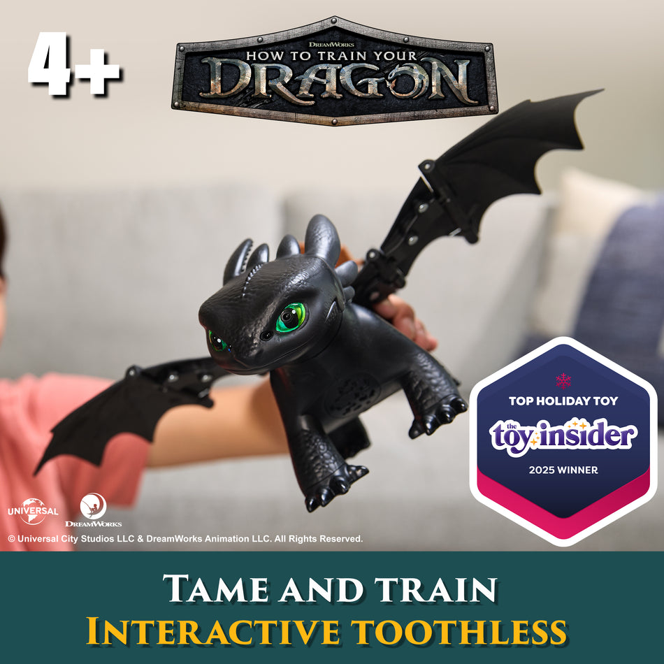 How to Train Your Dragon Tame & Train Interactive Toothless