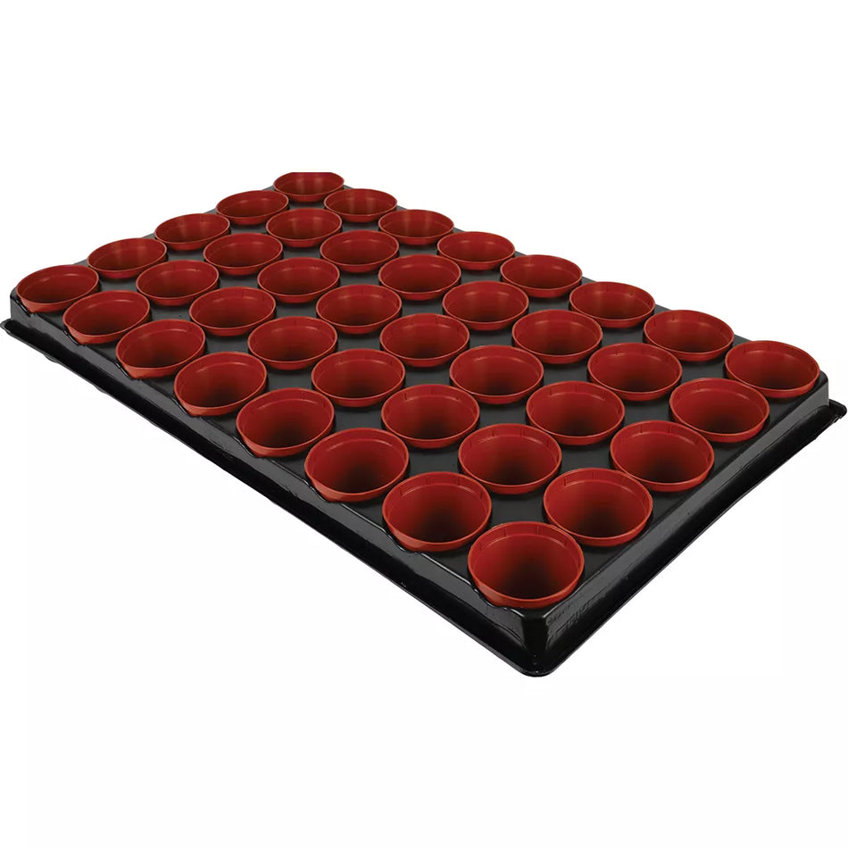 Seed & Cutting Tray 40 Pot