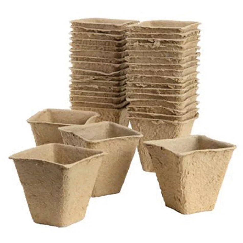 Gro-Sure Fibre Pots Square 6cm 80pk