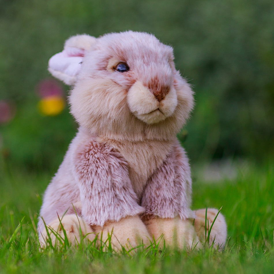 Animigos World Of Nature European Rabbit