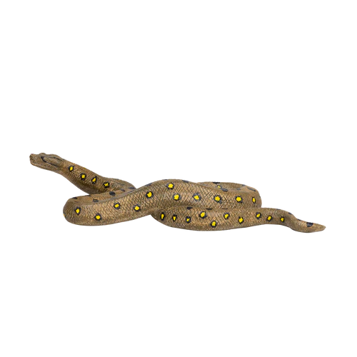 Green Anaconda