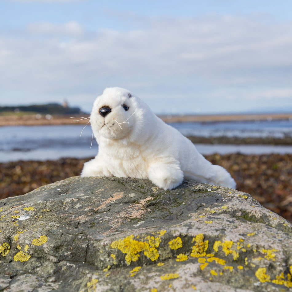 Animigos World Of Nature Seal Pup