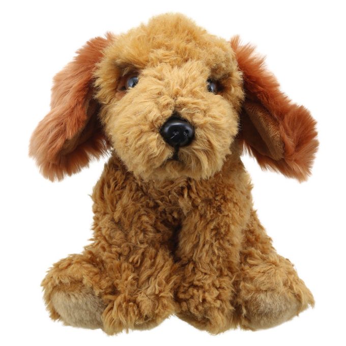 Cockapoo Golden Wilberry Favourites