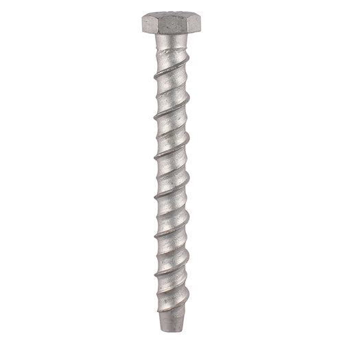 Multi-Fix Bolt Hex Head  10x100 (2)