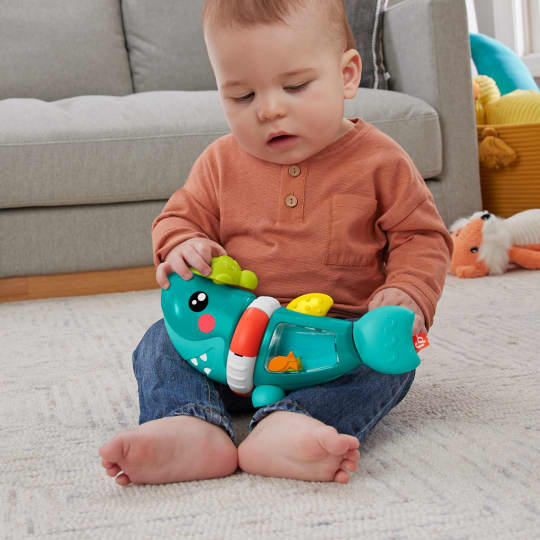 Fisher Price Activity Shark