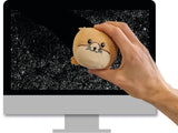 Hamster Stress Toy & Screen Cleaner | 17662