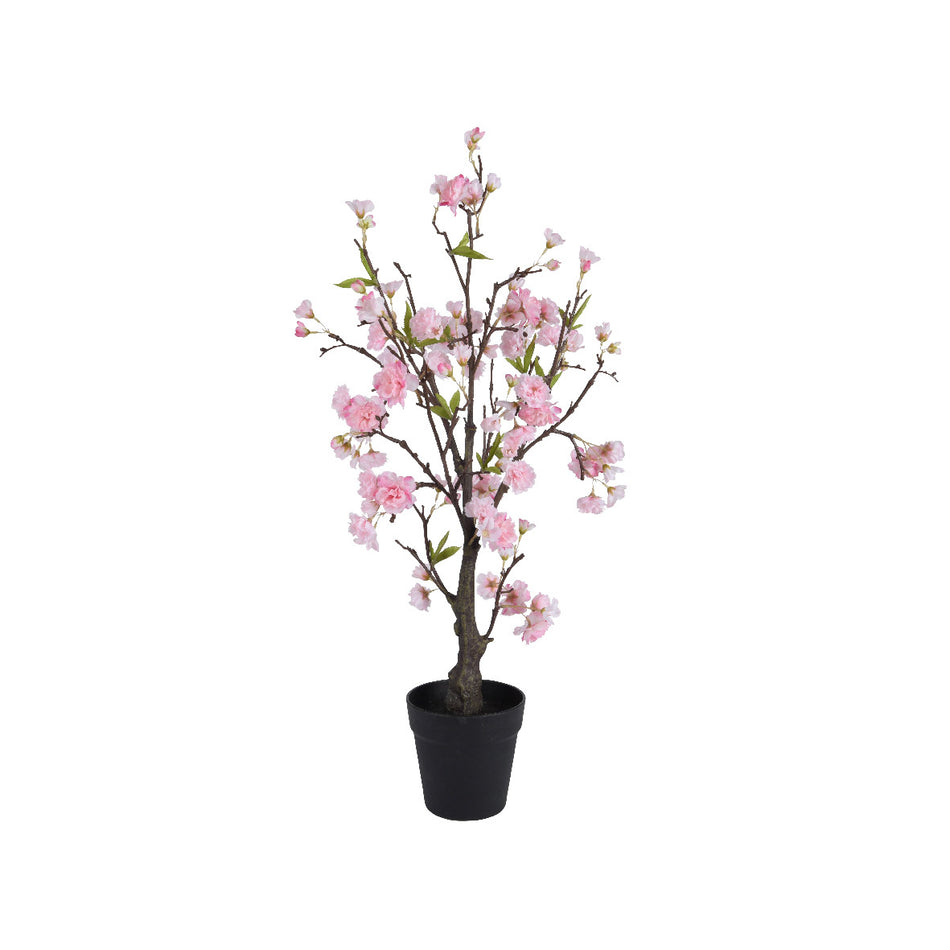 Faux Cherry Blossom in Pink Pot H125Cm