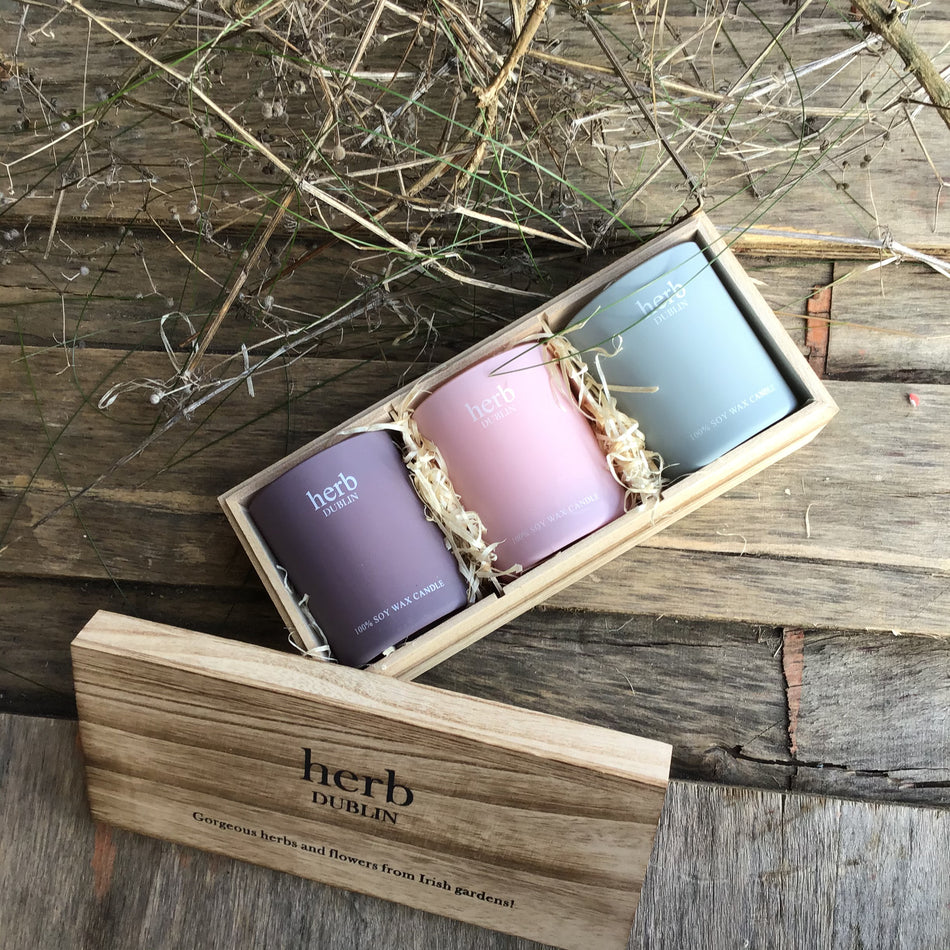 Herb Wood Set Trio Candle Pastel Rhu,Lav,Sea